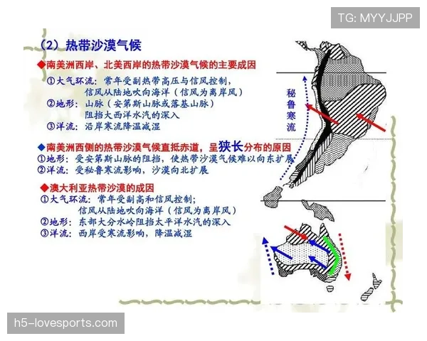 凯恩与鲁尼进攻位置分散化及体系依赖性的成因与影响